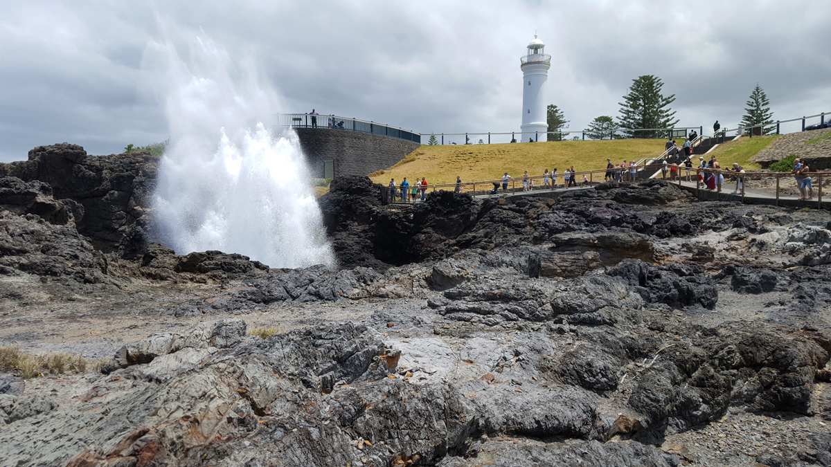 Jervis Bay Private Tour