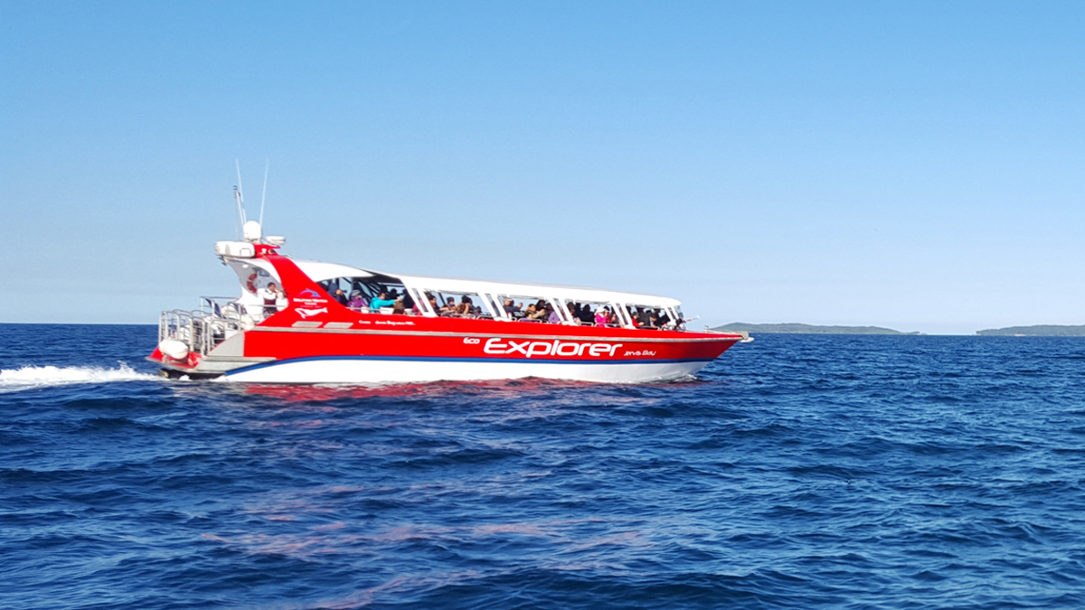 Jervis Bay Private Tour