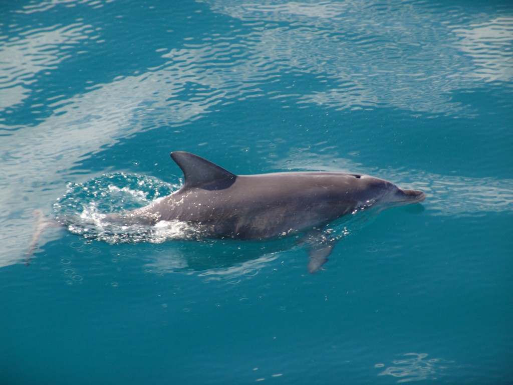 Jervis Bay Private Tour