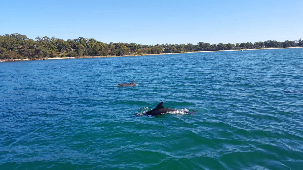 Jervis Bay Private Tour