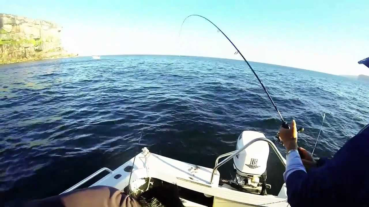 Sydney Harbour Private Boat Fishing