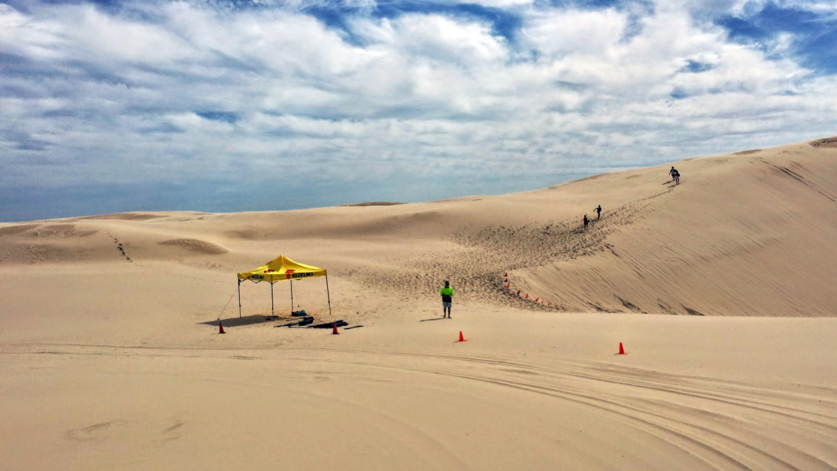 Кормление кенгуру с рук