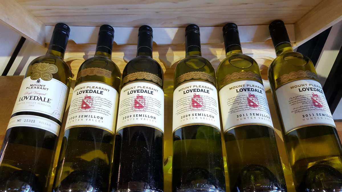 Приключение на квадроциклах