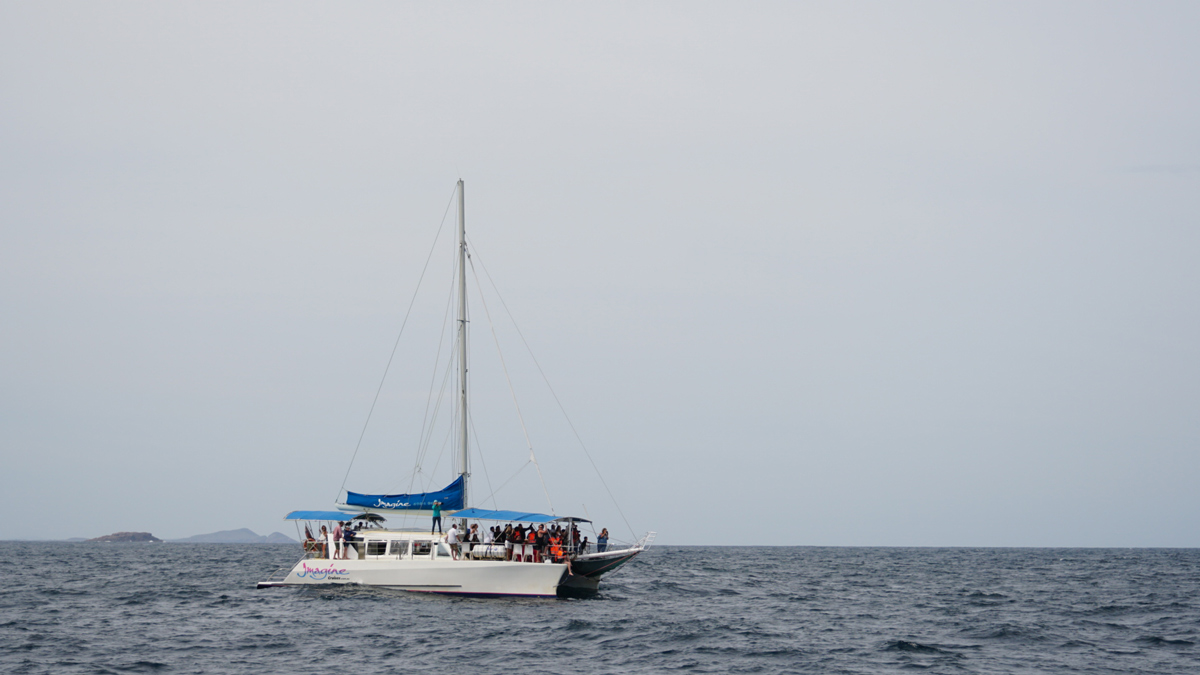 Nelson Bay Private Tour