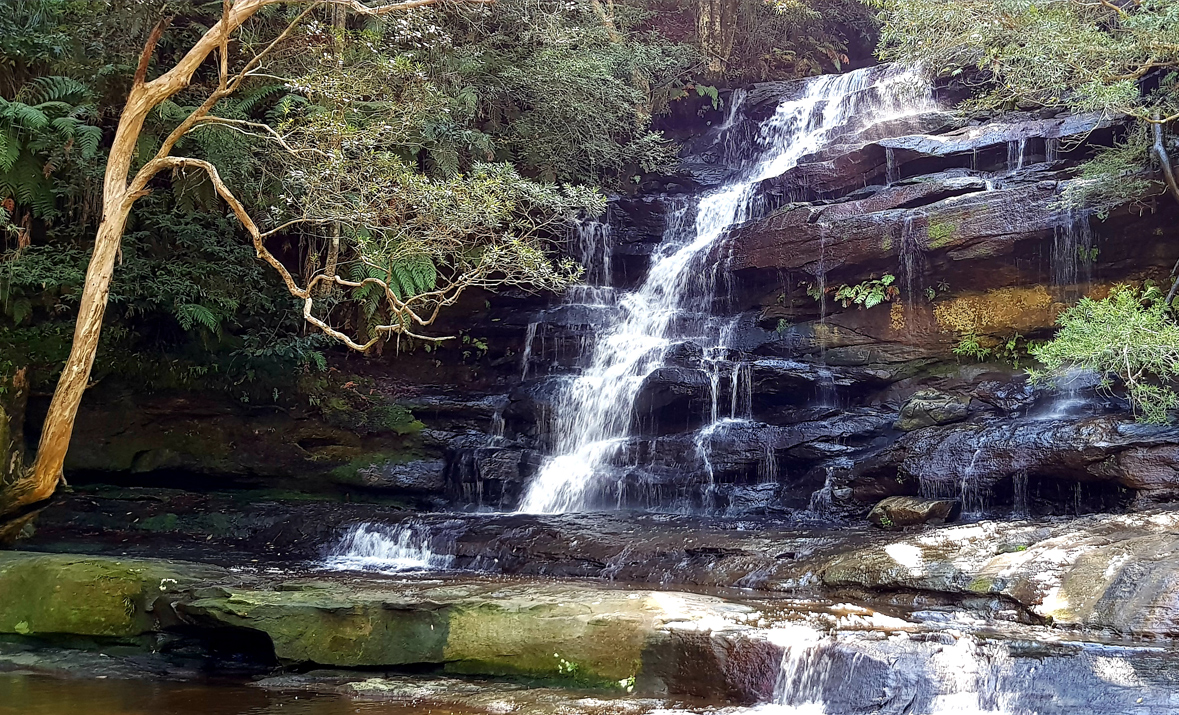 Nelson Bay Private Tourr