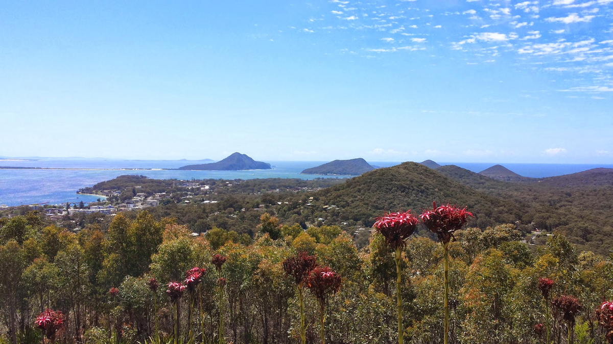 Nelson Bay Private Tour