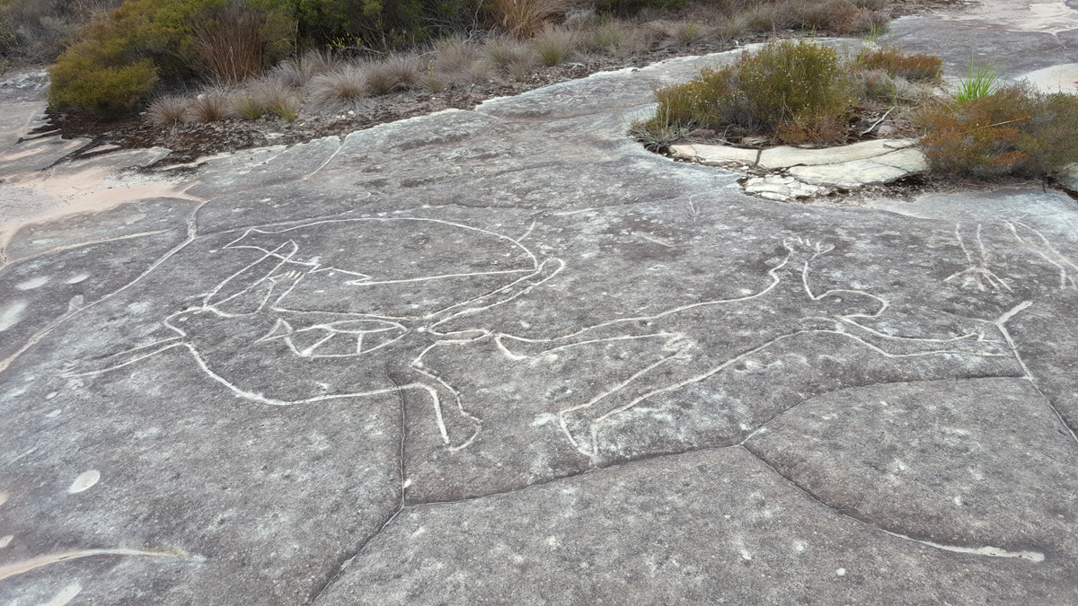 Australian Wild Animals Watching and Aboriginal Sacred Places Private Tour