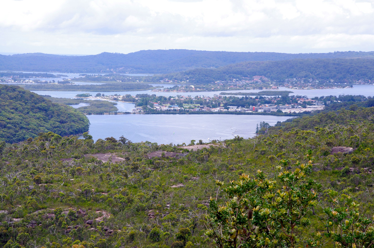 Australian Wild Animals Watching and Aboriginal Sacred Places Private Tour