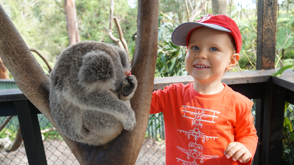 Australian Wild Animals Watching and Aboriginal Sacred Places Private Tour