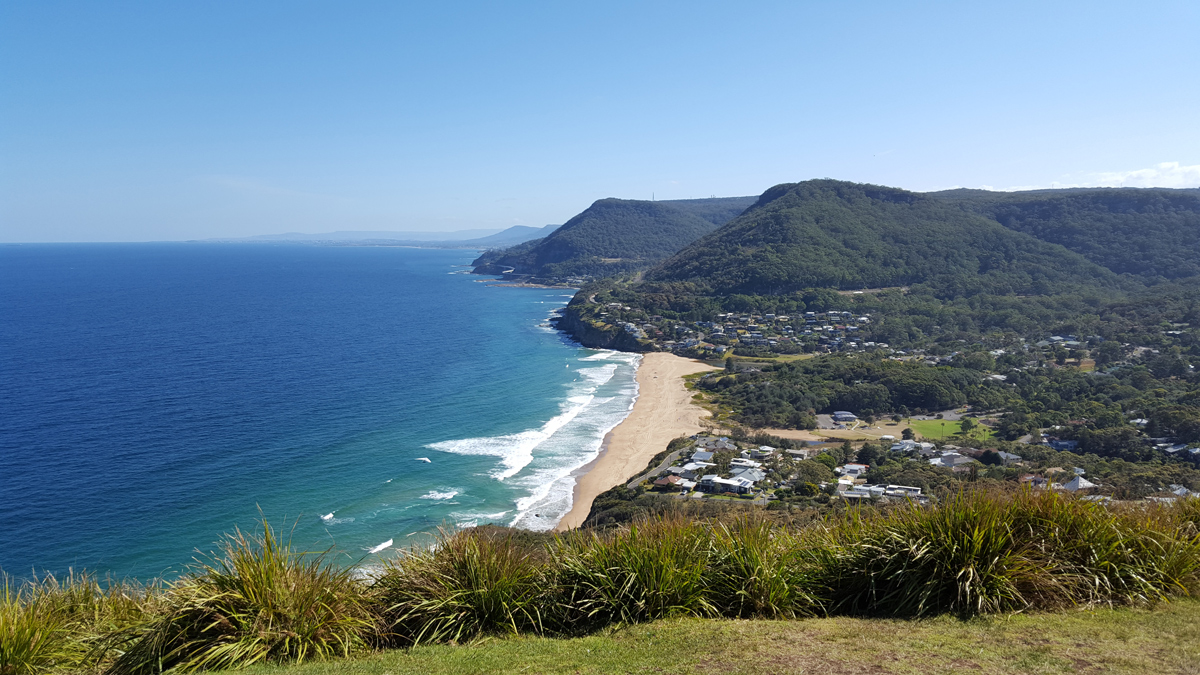 Bushwalk in Royal National Park  Private Tour