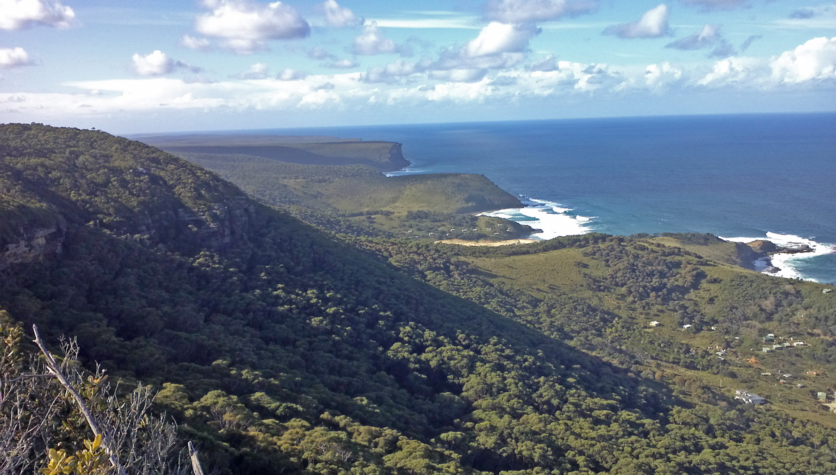 Bushwalk in Royal National Park  Private Tour