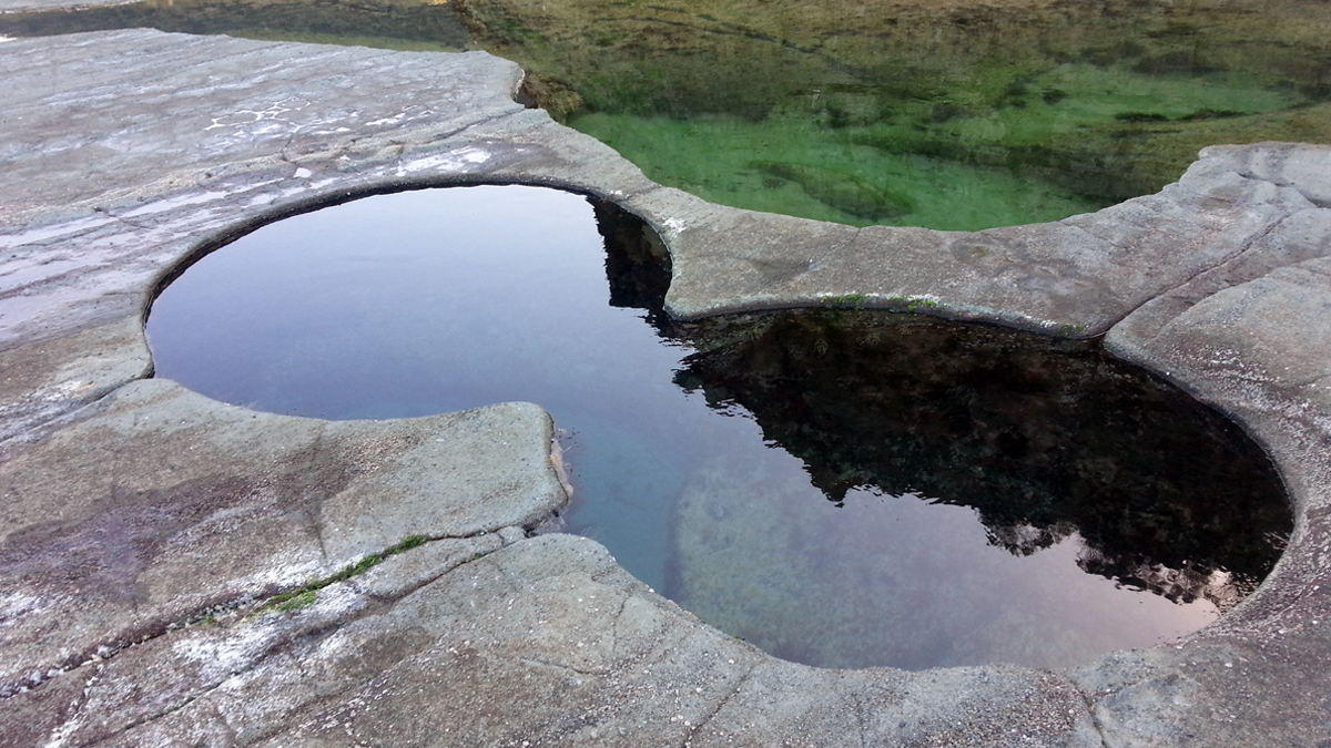 Bushwalk in Royal National Park  Private Tour