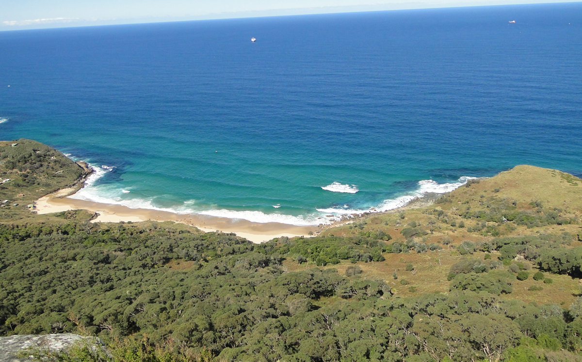 Bushwalk in Royal National Park  Private Tour