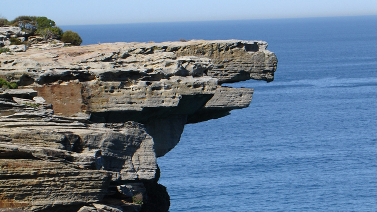 Bushwalk in Royal National Park  Private Tour