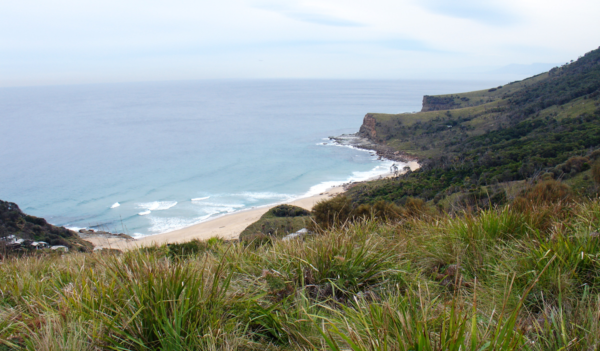 Bushwalk in Royal National Park  Private Tourr