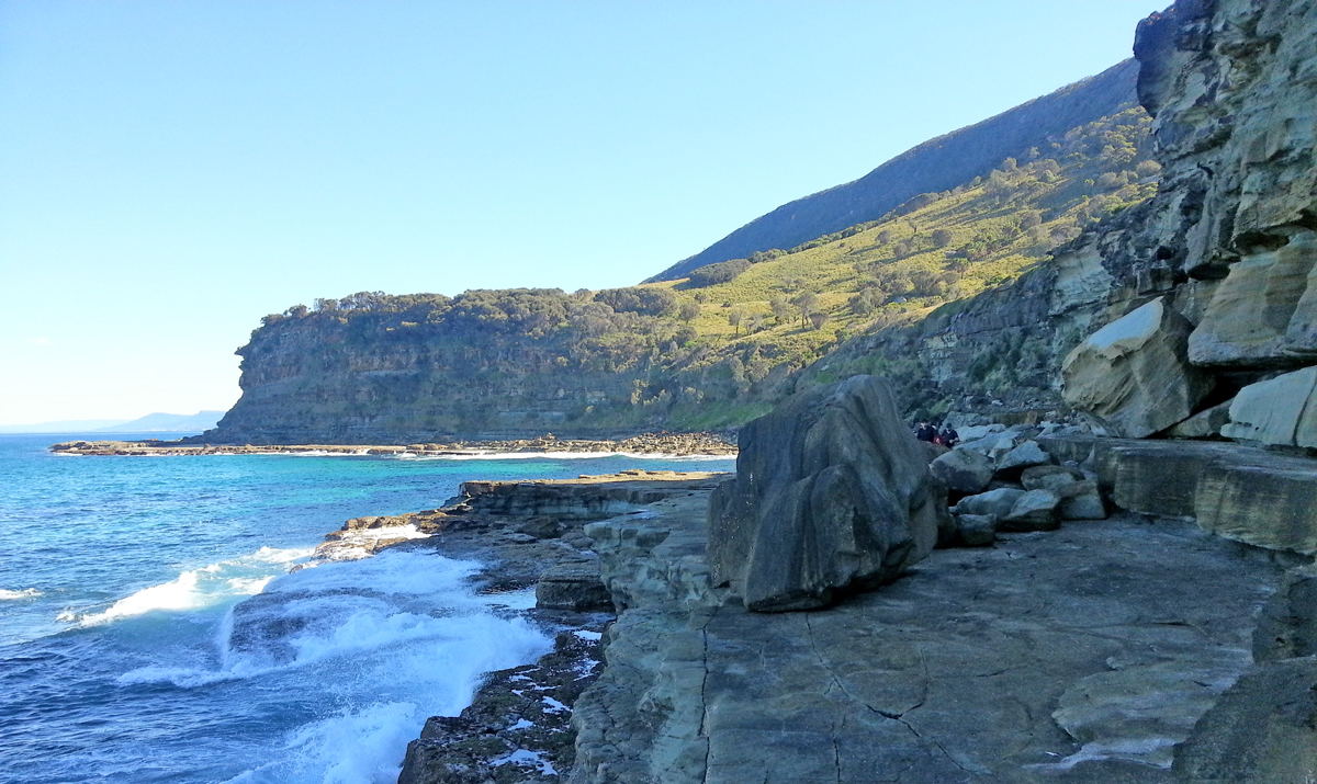 Bushwalk in Royal National Park  Private Tour