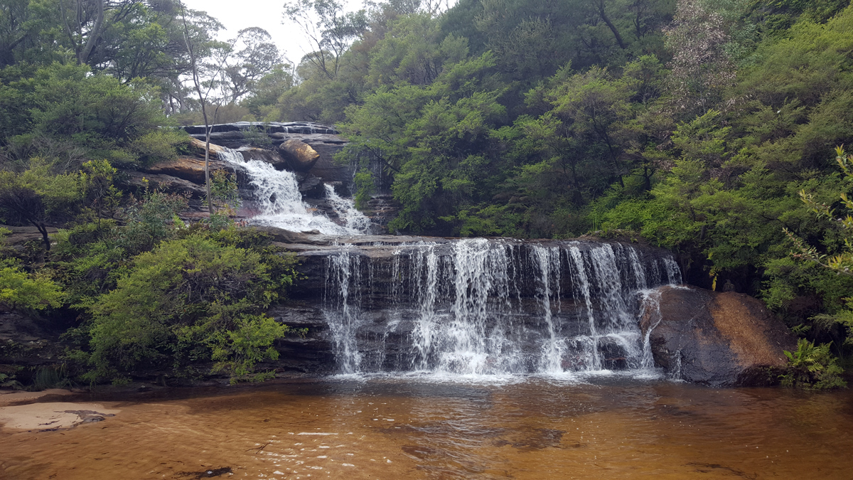 Blue Mountains Private Tour