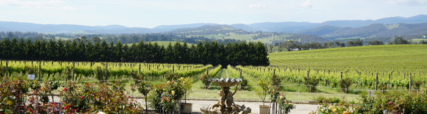 Виноградники Yarra Valley